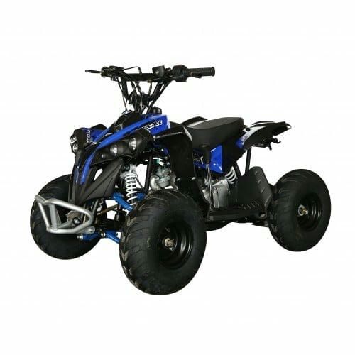 Электроквадроцикл MOTAX ATV CAT 1000W