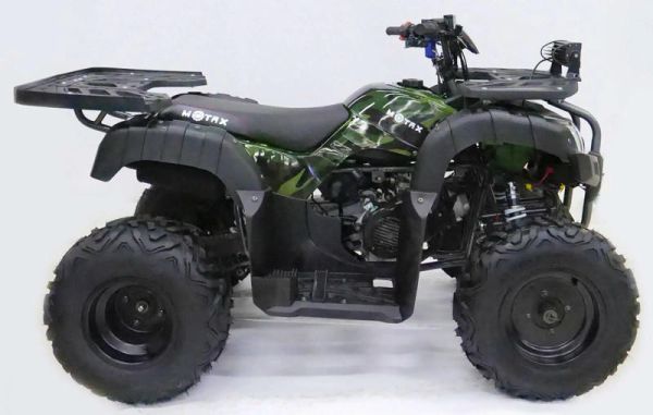 Квадроцикл MOTAX ATV Grizlik 200 Lux (с лебедкой)