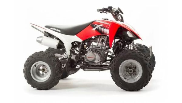 Квадроцикл подростковый MotoLand ATV 250S