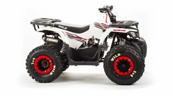 Квадроцикл подростковый MotoLand ATV WILD 150